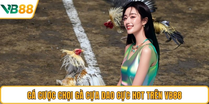 Cá cược chọi gà cựa dao cực hot trên VB88 Cá cược chọi gà cựa dao cực hot trên VB88